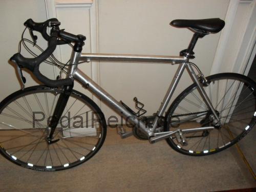 Ridgeback Genesis technische daten